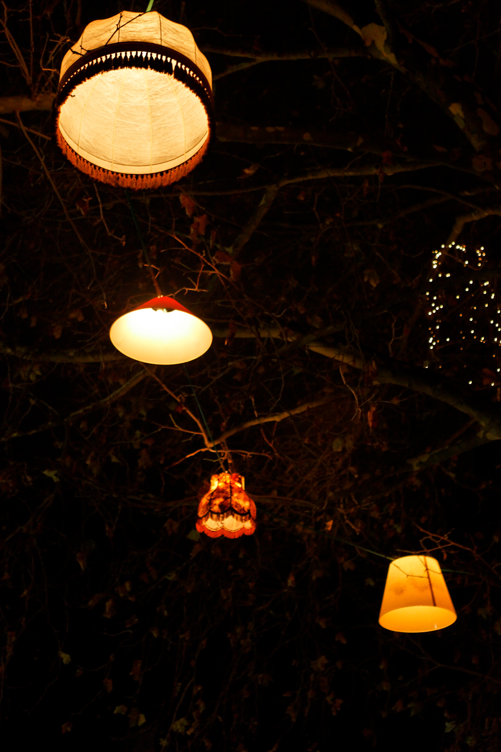 Alte Lampenschirme hängen leuchtend in den Baumkronen